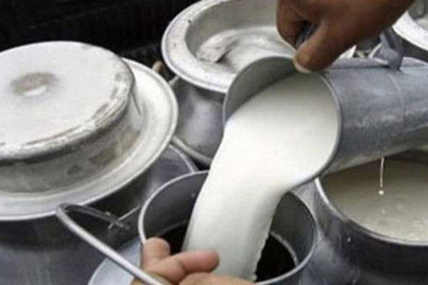 बजार पहुँच नहुँदा किसानको दूध घरमै